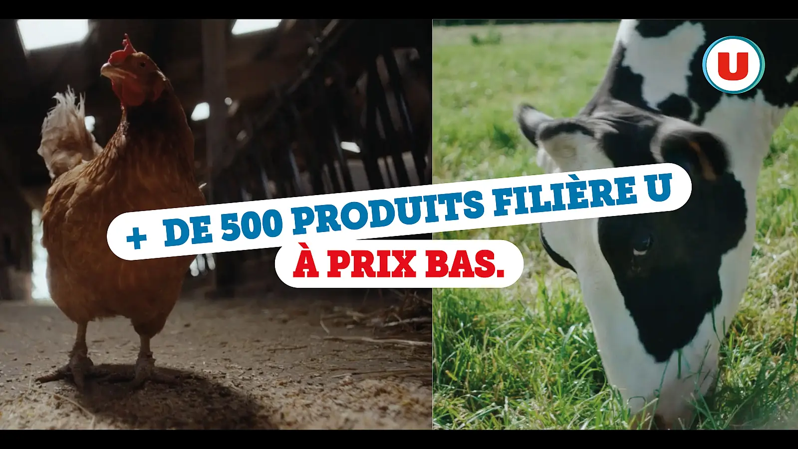 Image Bien être animal