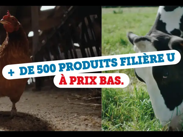 Image Bien être animal