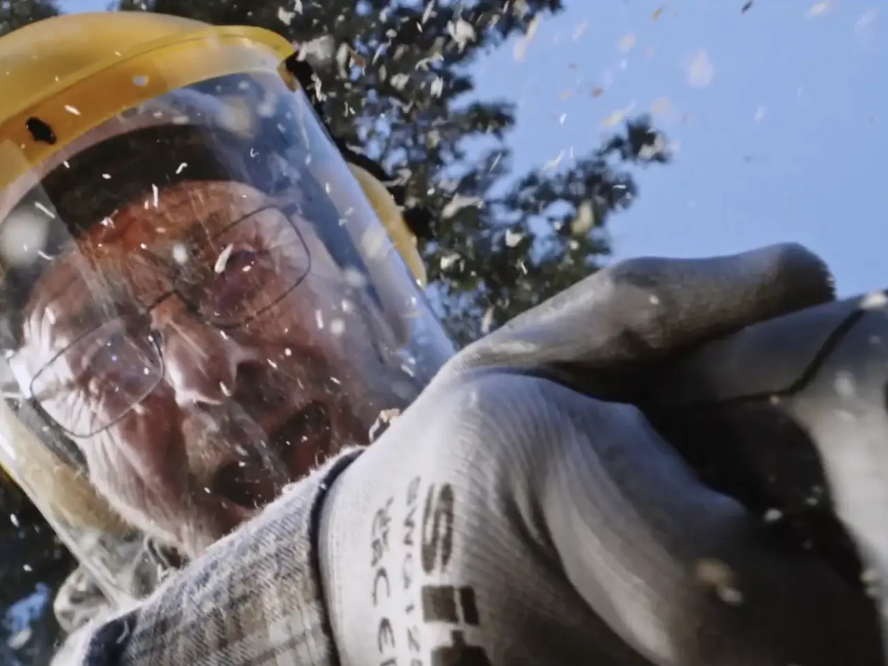 Image Des prix bas et du stock