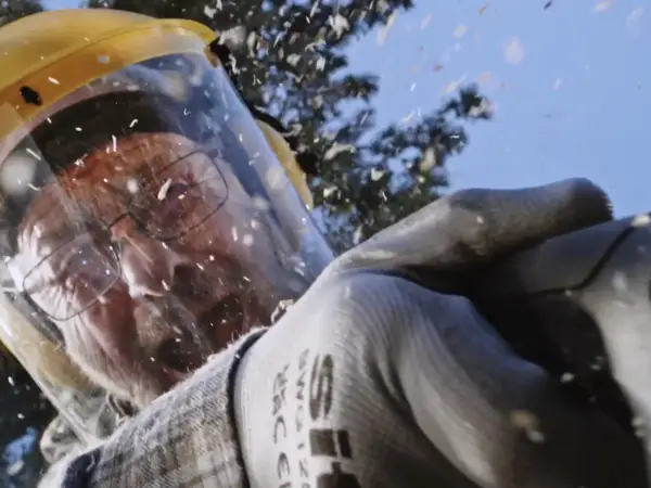 Image Des prix bas et du stock