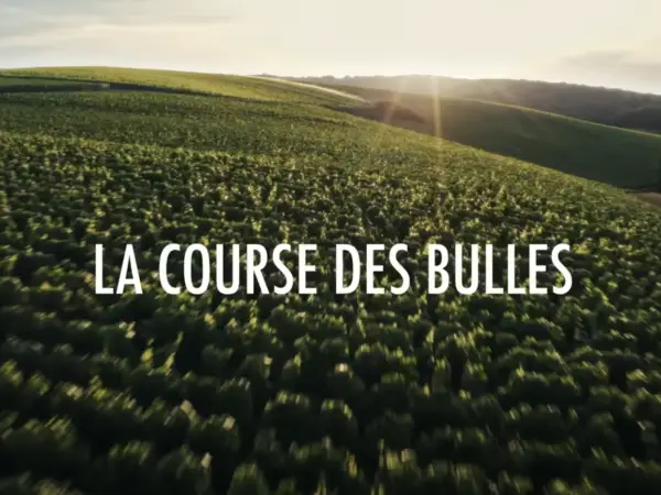 Image et ses 5 millions de vues pour la course des bulles, mis en musique par Sofiane Pamart