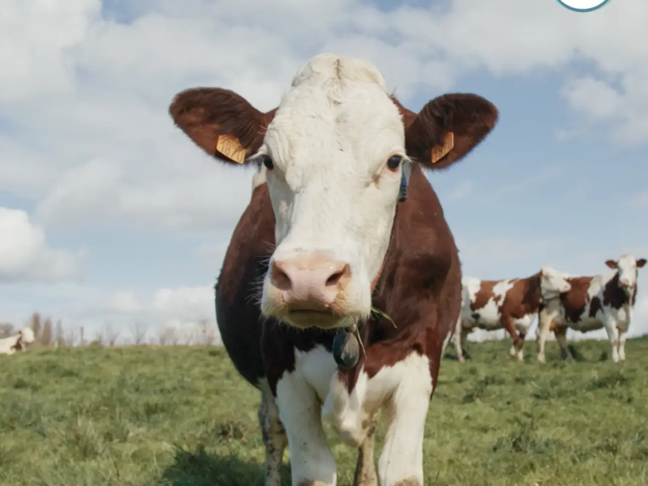 Image U Pas de jalouses