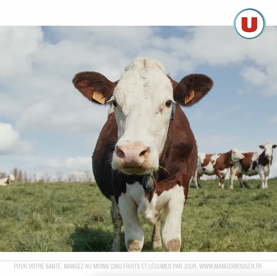 Image U Pas de jalouses